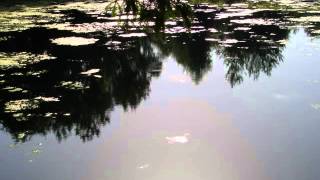 Gabucci 50 Duets - Allegro con brio - Domenico Scarlatti - 2 clarinets
