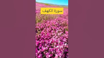 جمعة مباركة 🤲 تلاوة خاشعة لسورة الكهف بصوت #اسلام_صبحي #قرآن #quran #ramadan #اكسبلور #allah #trend