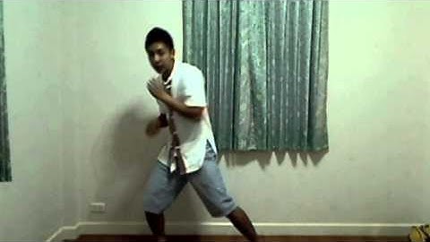 Monkey Kung Fu: Stance & Basics