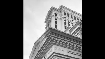 DC The Don - I should’ve told you