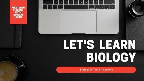 SPOROPHYTE OF POLYTRICHUM