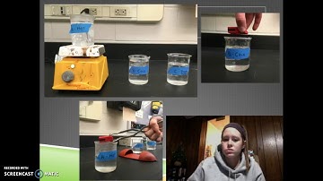 Module 6: Capstone Project