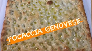 FOCACCIA GENOVESE ORIGINALE ricetta tipica ligure con poco lievito