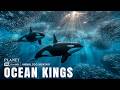 Pacific Ocean Kings | Who Truly Rules Earth’s Largest and Most Powerful Ocean Ecosystem?