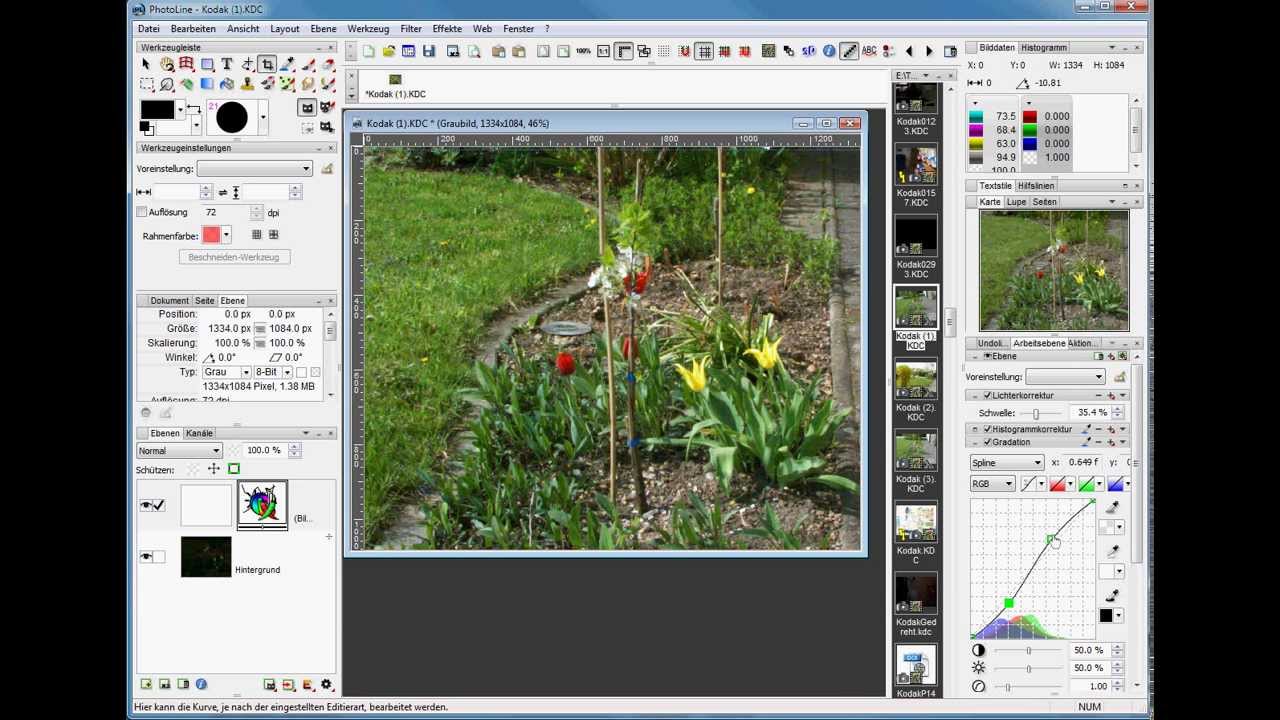 PhotoLine Tutorial - ein Raw-Bild öffnen - YouTube