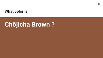 Chōjicha Brown color #8f583c hex color - Orange color - Cool color 8f583c