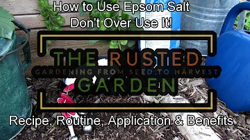 How to Use Epsom Salt in the Garden: Recipe, Routine, Application & Benefits - Don't Over Use It!