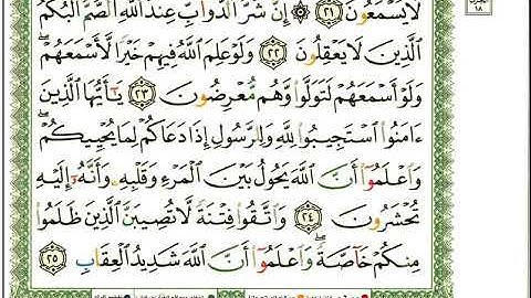 سورة الانفال كاملة ادريس ابكر مصحف المدينة الملون