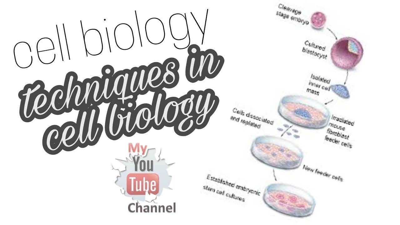 cell theory and techniques used in cell biology in pashto - YouTube