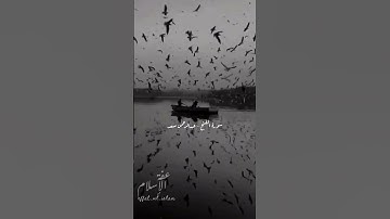 هُوَ الَّذِي أَنْزَلَ السَّكِينَةَ فِي قُلُوبِ الْمُؤْمِنِين/سورة الفتح/عبدالرحمن مسعد#surahalfateha
