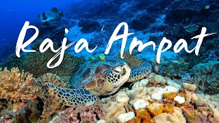 Diving Raja Ampat 2025