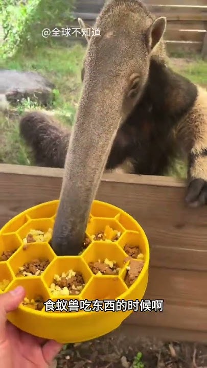 [問卦] 有什麼東西在大家看過後,評論全歪樓的?