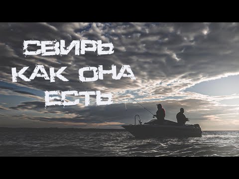 Video: Свир дарыясы: балык уулоо, сүрөттөр жана тарых