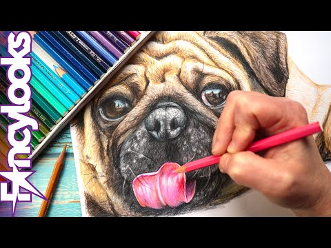 Video: Cómo Dibujar Un Pug