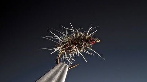 Tying Matt