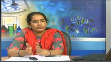 Secondary, Data Entry Operations : Basic of Computer