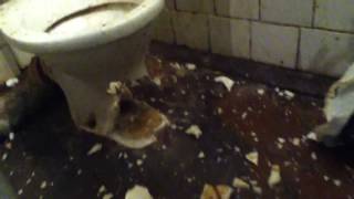 взрыв петарды в туалете в унитазе