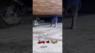 💎 UAE & Dubai & Saudia Luxury Technology 🚀 مشهد أزرق صادم يشبه النار لكن الحقيقة ستدهشك! 😲🔥