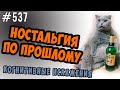 Ностальгия по прошлой жизни. Раньше было лучше