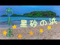 【西表島】星砂の浜【珊瑚のかけら】