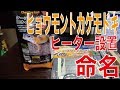 初めてのヒョウモントカゲモドキ飼育＃5