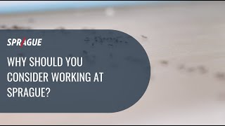 Why Should You Consider Working at Sprague?