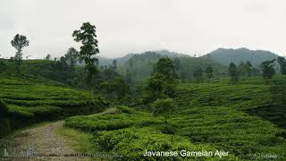 Relaxing Music Gamelan AJER