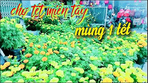 Chợ Ba Hồ mùng 1 tết - Chợ Tết Quê Tôi - chợ Vĩnh Hòa Hưng Bắc | ĐMT vlogs