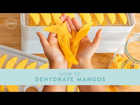 How to Dehydrate Mango | Luvele Breeze