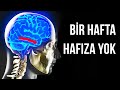 8 Milyar İnsanın Hepsi Aynı Anda Hafızasını Kaybetseydi Ne Olurdu