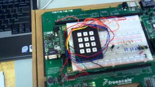 Electrical Embedded  System Final Project