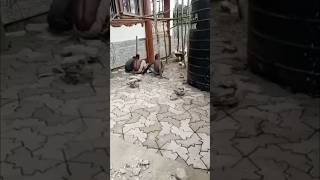 Best construction company in Sierra Leone Freetown