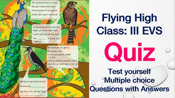 Quiz(Test yourself)-Flying High-Class 3-EVS-NCERT-CBSE-Multiple Choice Questions
