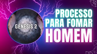 #aula 6 - Processo para formar o homem