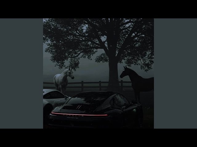 MIDNIGHT SUN (Ultra Slowed)