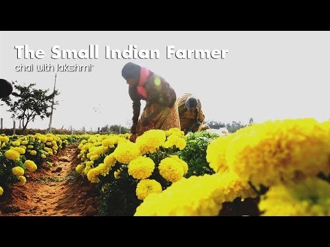How Technology is helping Small Indian Farmers