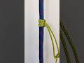 Prussik Hitch #viral #knot #rope #viralvideos #shortvideos #knottutorial #fypシ゚viral #fypシ #diy #fyp