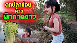 ผักกาดขาว 2 หัว ตกปลาช่อนได้กี่ตัว ? | สมเดย์ | เด็กตกปลา