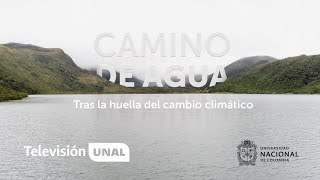 Camino de agua: Tras la huella del cambio climático | #DocumentalesUNAL