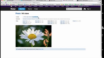 Citing Creative Commons Images in Blog Posts