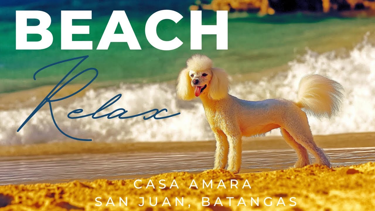 Beach ☀️ Sunrise in Casa Amara