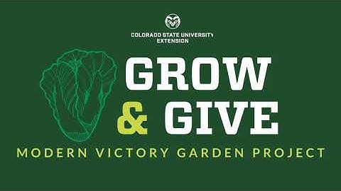 Grow & Give: Hail Cleanup and Protection