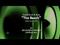 Liquid drum  bass intelligent  the beach by big buddha project