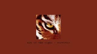 eye of the tiger - survivor (speed up) Resimi