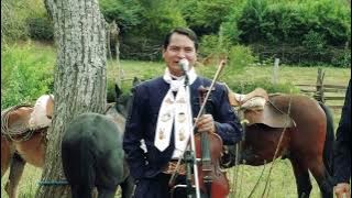 Los Canarios del Chaco - Aro, Aro (Gallito)