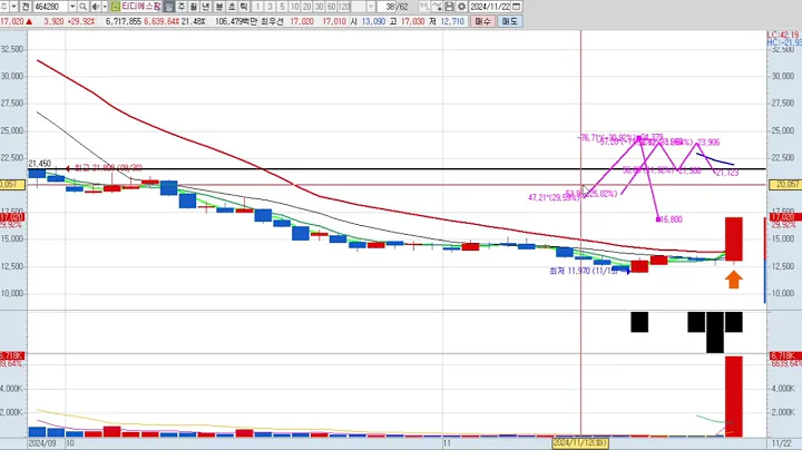 티디에스팜 (464280) 패턴분석 및 투자전략