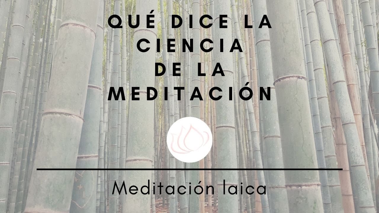 Qué dice la ciencia sobre la meditación - YouTube