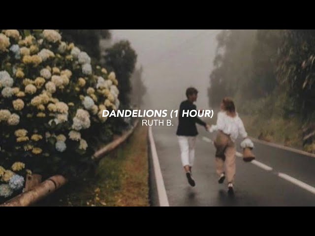ruth b. - dandelions 1 hour (tiktok version) I’m in a field of dandelions class=
