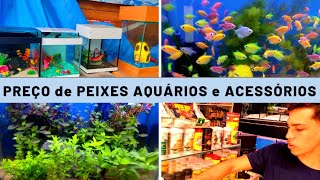 Preço de AQUÁRIOS, PEIXES e Acessórios   #aquario #aquarismobrasil by DOCTV 2,448 views 1 month ago 15 minutes