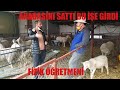 FİZİK ÖĞRETMENİ ARABASINI SATIP | MERINOLANDSCHAF SAFKAN | SİNCAN ANKARA